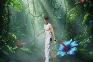 Amazon Rainforest
